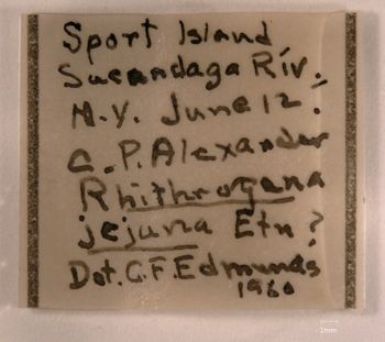 Media type: image;   Entomology 733353 Aspect: labels